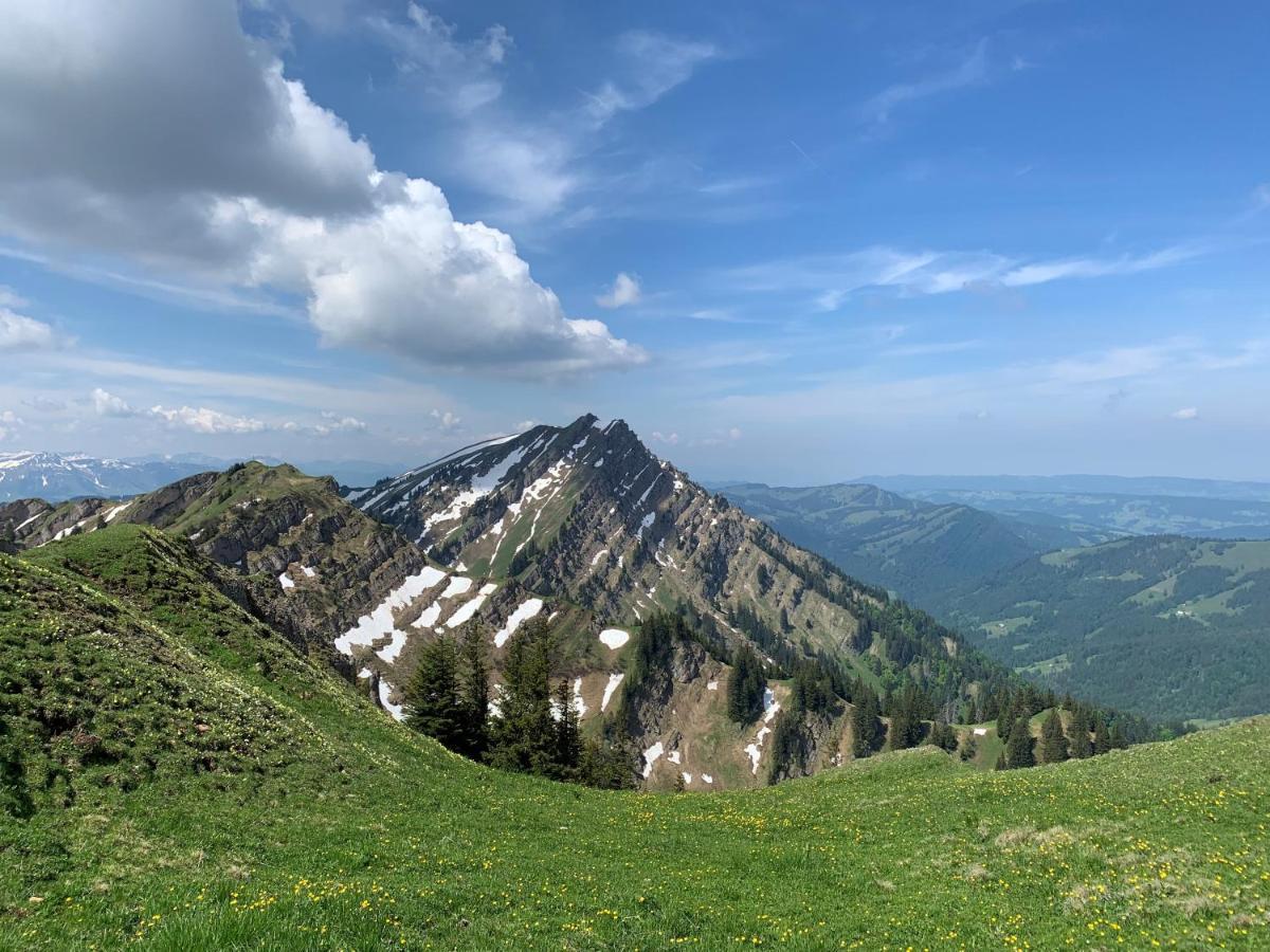 Staufen Herz 上施陶芬 外观 照片